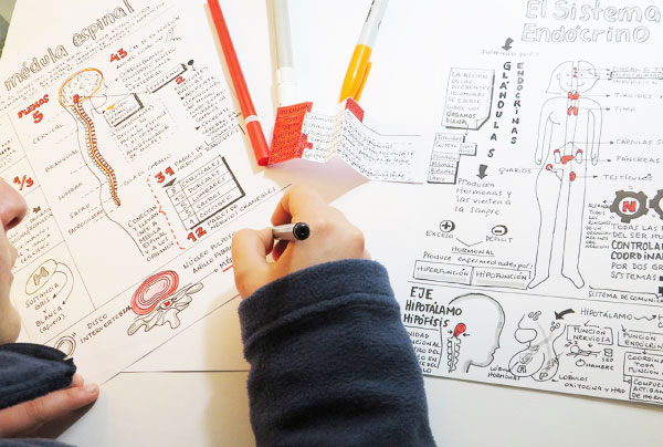 Estudiar visualmente